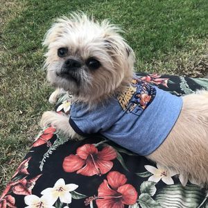 Meet your Posher, Lucy